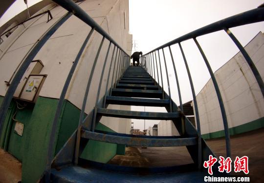中央儲備糧江西泰和直屬庫有限公司保管員在倉庫巡查。　王昊陽 攝